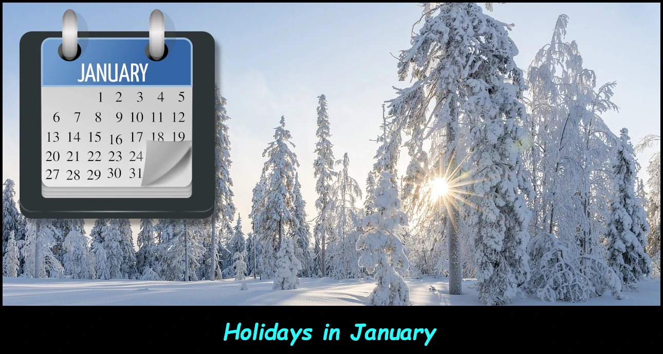 Holidays in January