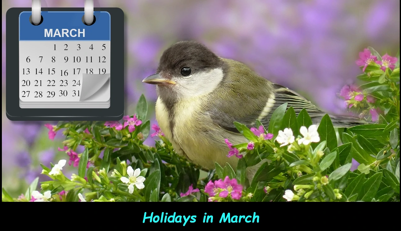 Holidays & Events in March
