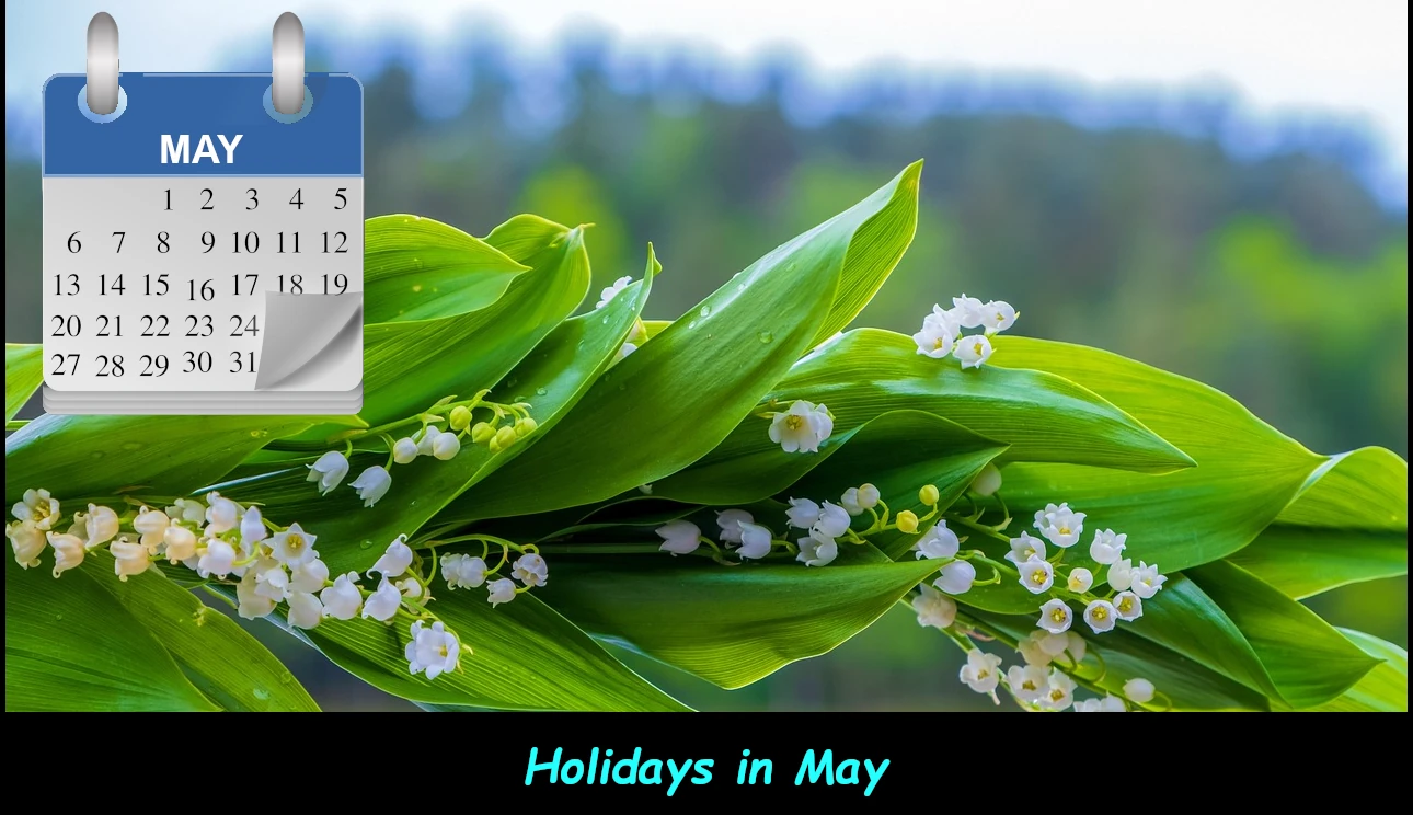Holidays & Events in May